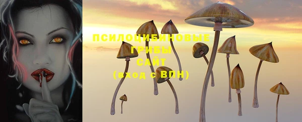 mix Осинники