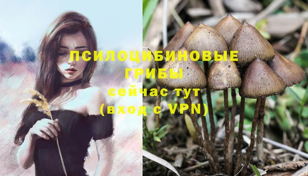 марихуана Богородицк