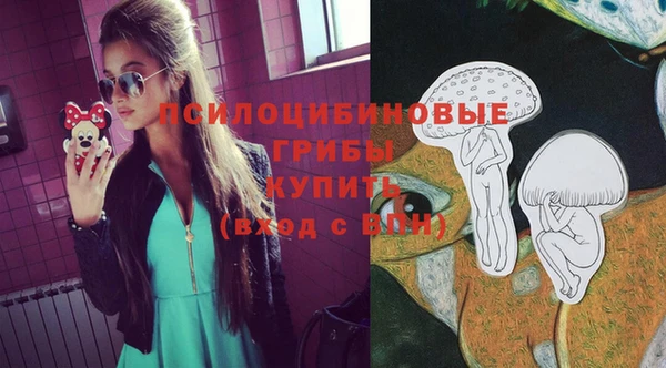 экстази Богданович
