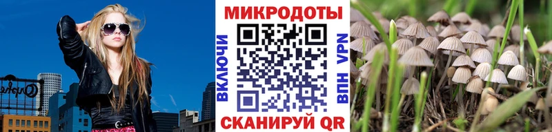 Псилоцибиновые грибы мухоморы  Белый 